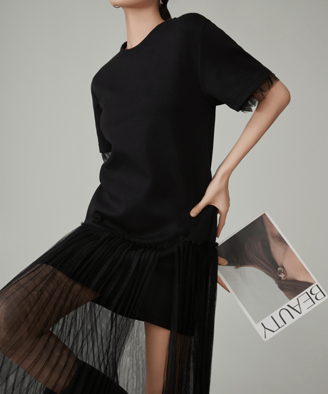 Tulle Combination Mini Dress