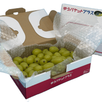ぶどう シャインマスカット (G)粒900g【複数・抱合せ注文専用】