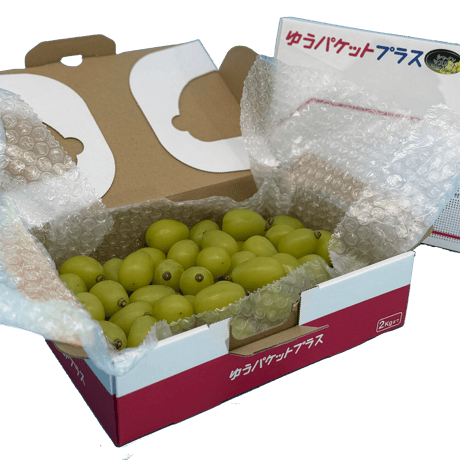 ぶどう シャインマスカット (G)粒900g【単品注文専用】
