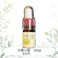 大薬の慈 — 枇杷 （びわ）種—　10ml