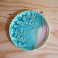Plate / 竹村良訓さん