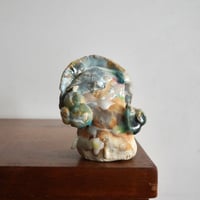 Tanuki / Aya Watanabe