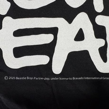 【公式新品】BEASTIE BOYS - CHECK YOUR HEAD BLACK (Back Print) ビースティボーイズ tシャツ