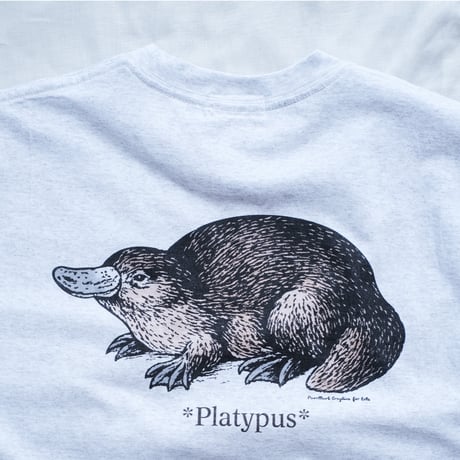LOBS Adventure clothing / Wild Life T/S