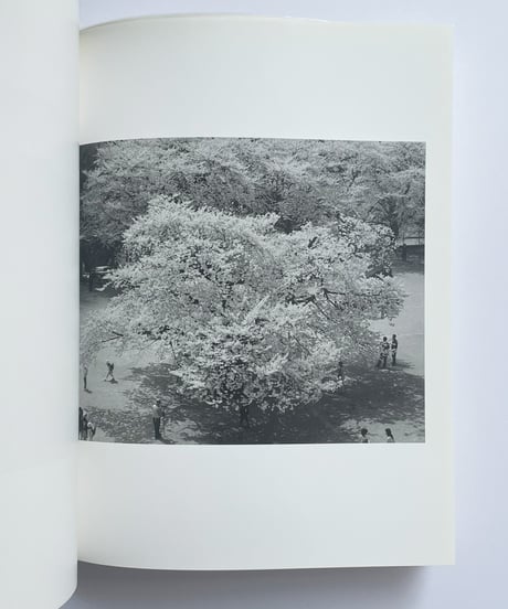 Kozo Miyoshi 三好耕三