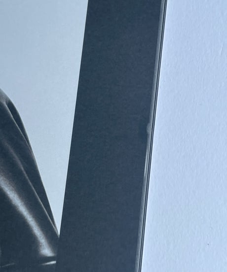 JIL SANDER Fall/Winter 2013 lookbook