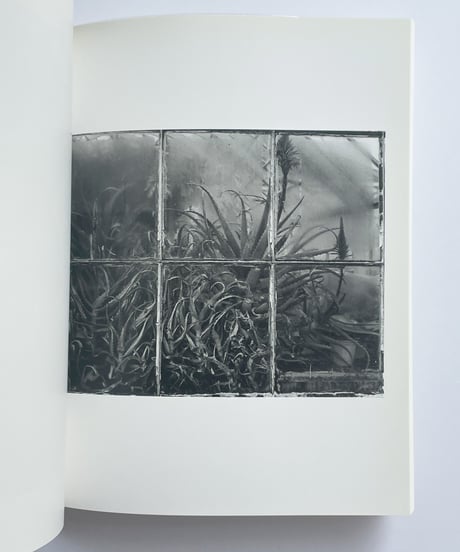 Kozo Miyoshi 三好耕三