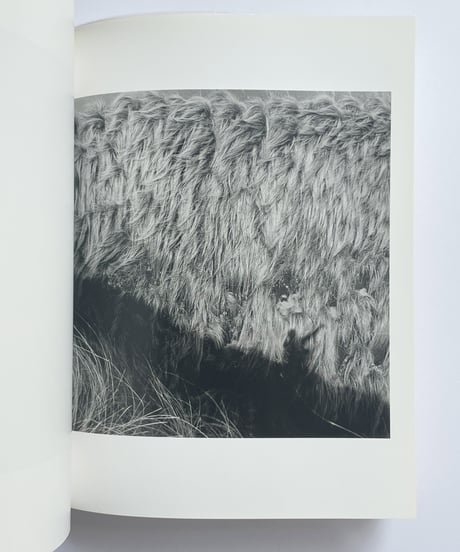 Kozo Miyoshi 三好耕三