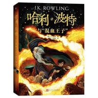 【小説】哈利·波特与混血王子 6 (ハリー・ポッターと謎のプリンス)　　著者：J. K. Rowling