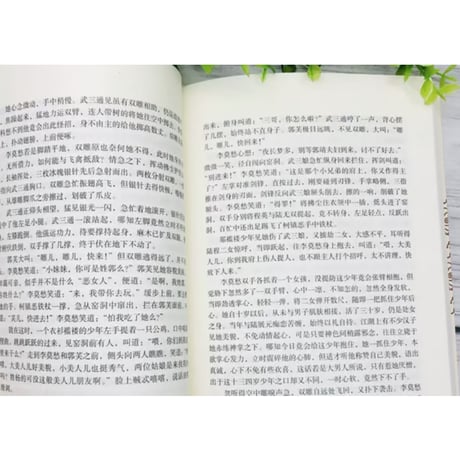 【小説/4冊セット】神雕侠侣    　 著者：金庸