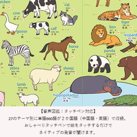 おすすめ中国語教材 【趣威文化 第3世代】2カ国語(中・英) タッチペン,図鑑, 単語カード, 音声小冊子 ネイティブの自然な発音が身につく