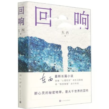 【小説】回响　　著者：东西