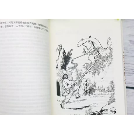 【小説/4冊セット】神雕侠侣    　 著者：金庸