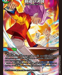 覇道の決闘（33/89）