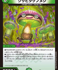クサビタケノヌシ（97/99）
