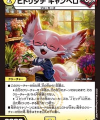 ヒトリダチ キャンベロ（30/77）
