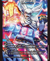野望の決闘（32/89）