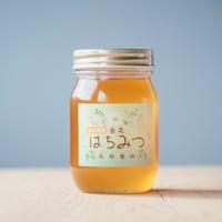 2026新蜜‼【馬場養蜂園】　島根県産百花はちみつ　―土地の恵みと感謝が織りなす奇跡の蜜―
