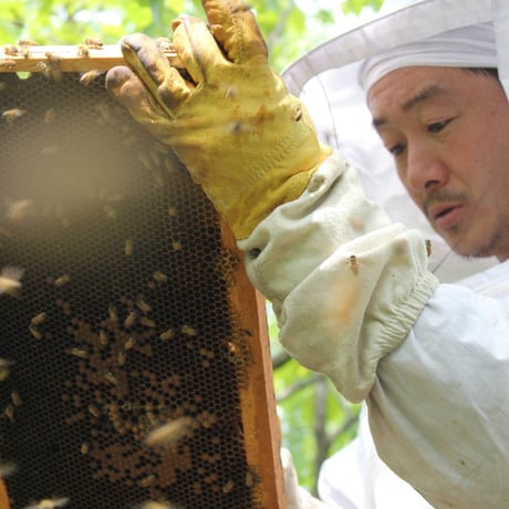 2026新蜜‼【馬場養蜂園】　島根県産百花はちみつ　―土地の恵みと感謝が織りなす奇跡の蜜―