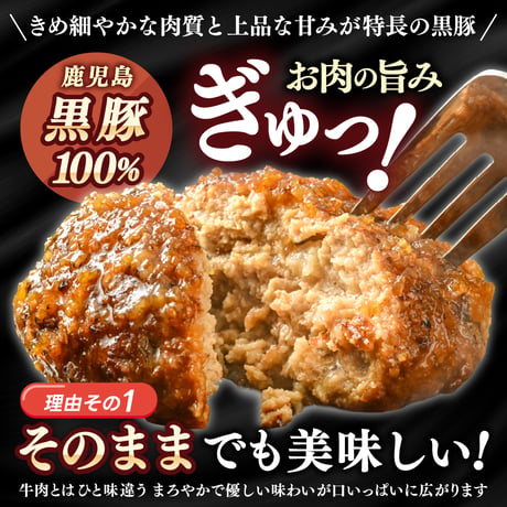 鹿児島黒豚ハンバーグ 冷凍 豚肉100％ おすすめ 人気 ポーク ギフト 通販【1個100g】選べる 3個/5個