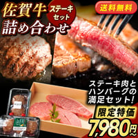 【送料無料】★ステーキセット★佐賀牛 ステーキ ハンバーグ 詰合せ ソース付 | 冷凍 牛肉 詰め合わせ 高級 ギフト 通販【1枚100g】選べる 300g/600g/900g