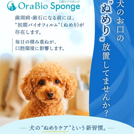 OraBio Sponge（オーラバイオスポンジ）歯石になる前の”ぬめり”取りに