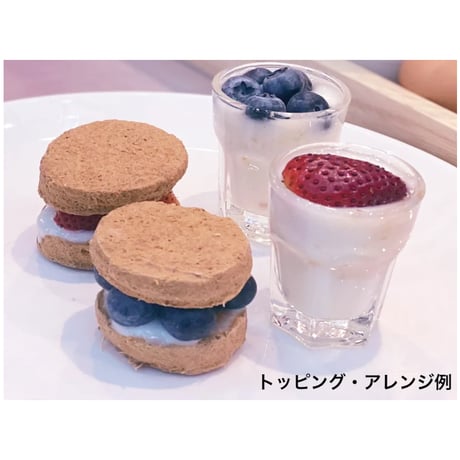 ケリー＆コー  フリーズドライ  犬用総合栄養食  パティミール サーモンフォーミュラ 初回限定キット