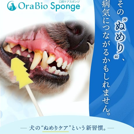 OraBio Sponge（オーラバイオスポンジ）歯石になる前の”ぬめり”取りに