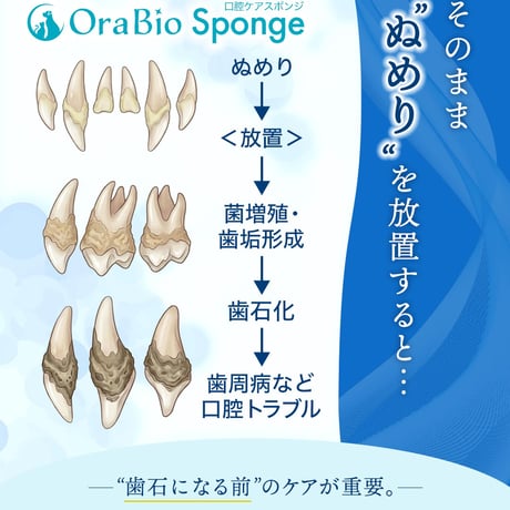 OraBio Sponge（オーラバイオスポンジ）歯石になる前の”ぬめり”取りに