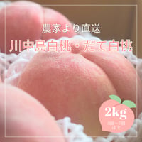 【数量限定】農家直送の桃「川中島白桃・だて白桃」2kg