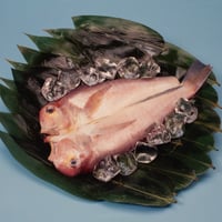 【4月随時発送】甘鯛（アマダイ）一夜干し 5枚入り