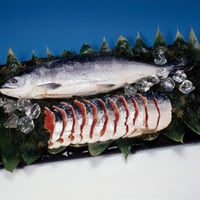 【6月随時発送】北海道産 紅鮭切身 厚切り・個包装（半身 / 1匹）