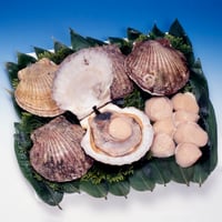 【3月随時発送】北海道産 ホタテ（殻付き5枚 / 貝柱500g / 貝柱1kg）