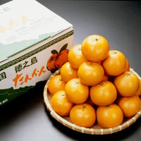 【2月随時発送】南大隅産 タンカン（3kg / 5kg）