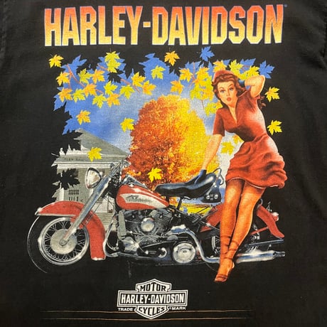 00s HARLEY-DAVIDSON "Heart of Dixie" ロングスリーブTシャツ