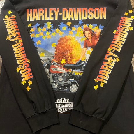 00s HARLEY-DAVIDSON "Heart of Dixie" ロングスリーブTシャツ