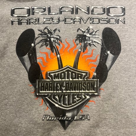 00s Harley-Davidson ジップスウェットパーカー "Florida"