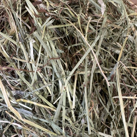カナダ産プレミアム1番刈りチモシー550g