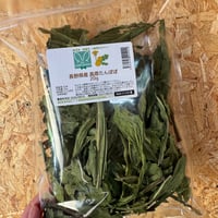 長野県産 高原のたんぽぽ20ｇ