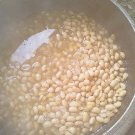 【送料込み】原っぱ農園の薪火仕込み手造り味噌（生みそ）