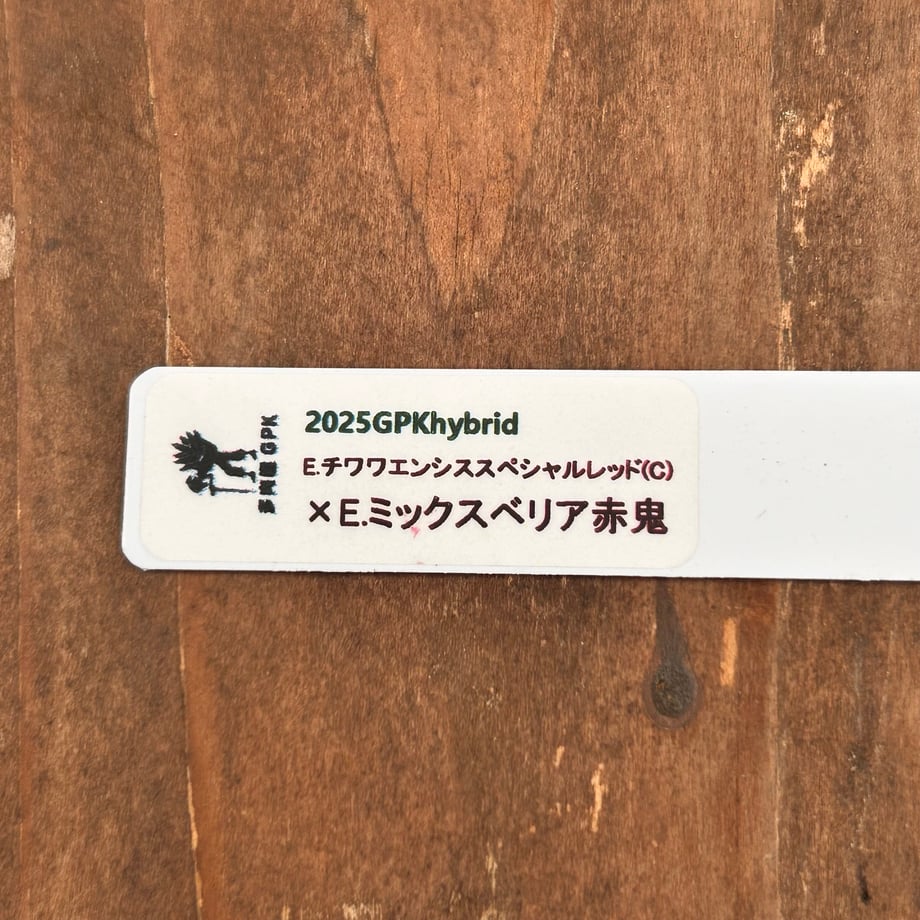 6ad868379ba4de52d78fbf34