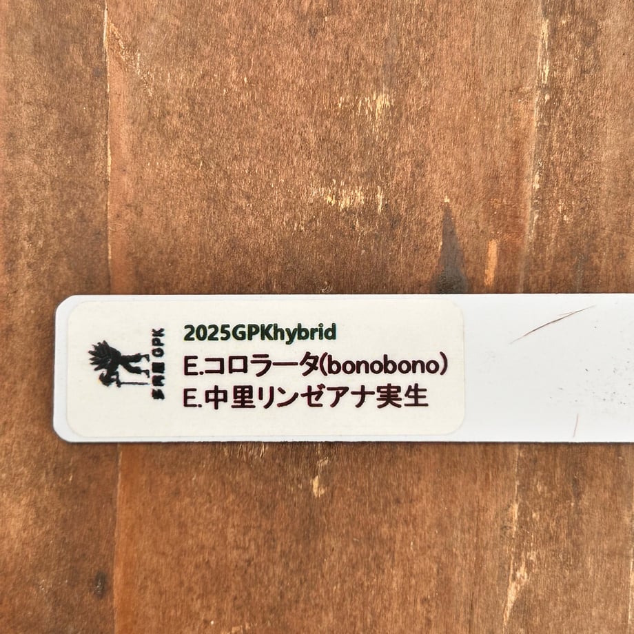 6ad866808cb46aa6a2e4fbe7