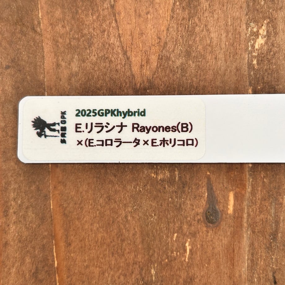 6ad86873f7ea546a46ee87a1