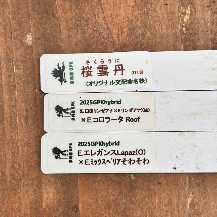 6ad892b6ae2f05c4cd2a5a5c