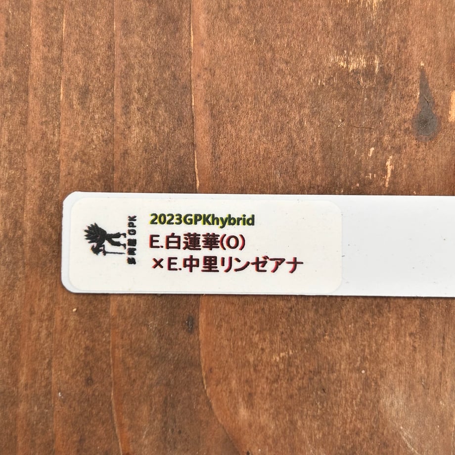 6ad860b1a9944a7c4d88bc25