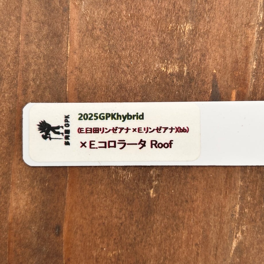 6ad8666ae9a70fde0c411ddb