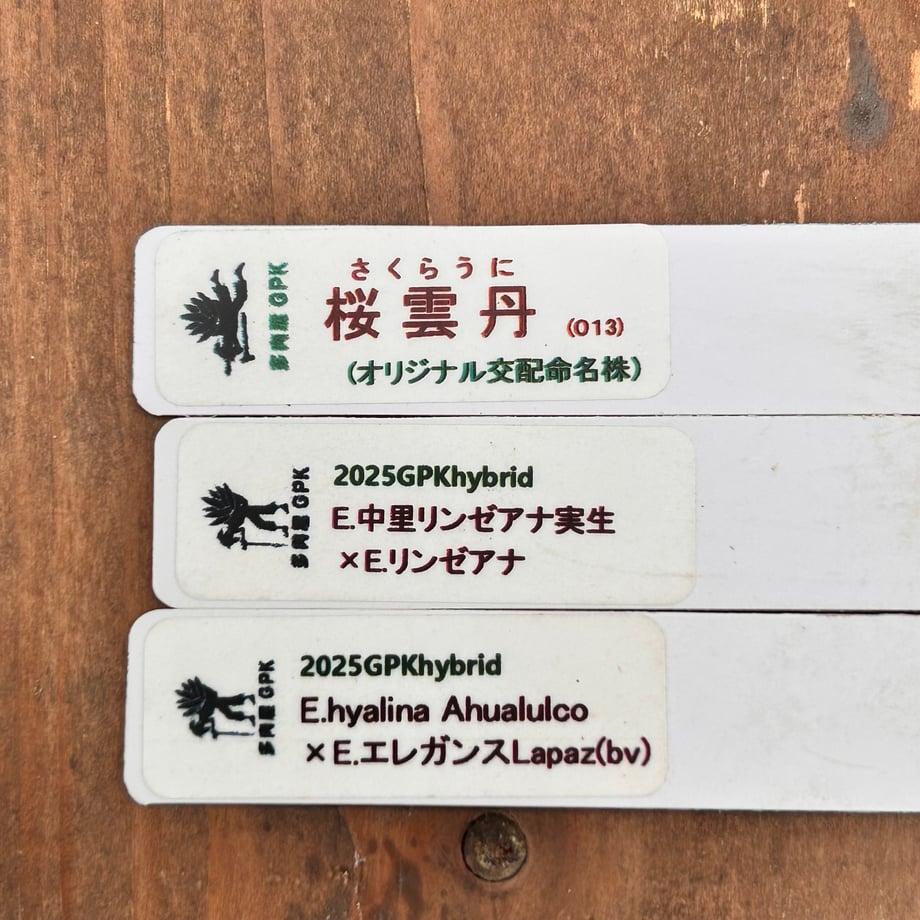 6ad8938fa1e671b27c1ccc42