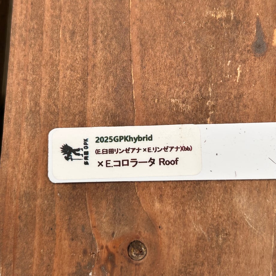 6ad86655eea985e1001ebef9