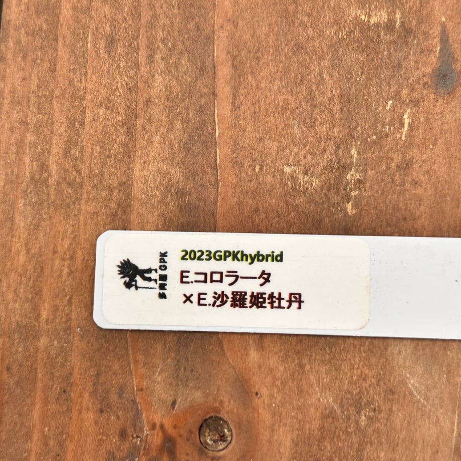 6ad85ff2a3000826bac5f869