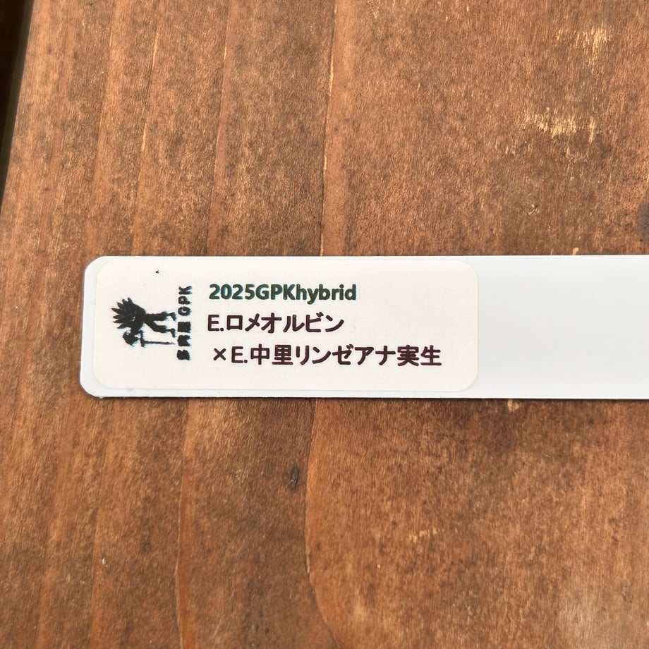 6ad865ff609979d5afef53b2